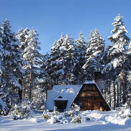 Zeleni Cardaci Etno Kaludjerske Bare