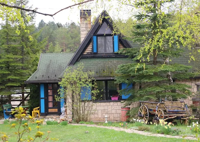 Zeleni Cardaci Etno Kaludjerske Bare