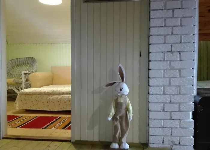 Zeleni Cardaci Etno Kaludjerske Bare