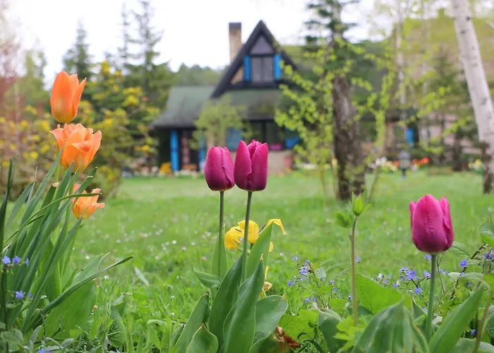 Apartament Zeleni Cardaci Etno *