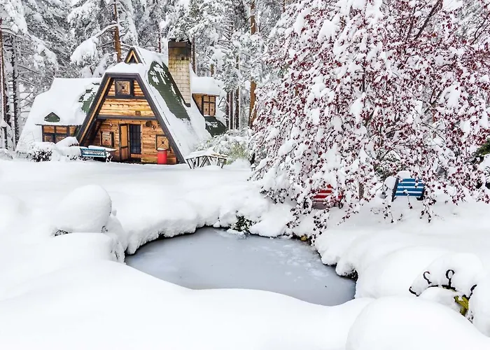 Zeleni Cardaci Etno *