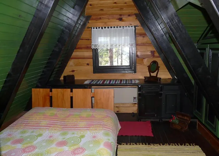 Zeleni Cardaci Etno Kaludjerske Bare