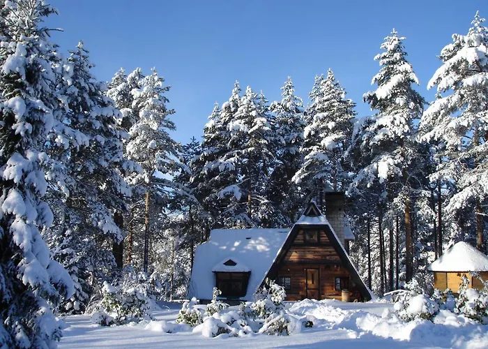 Zeleni Cardaci Etno Kaludjerske Bare