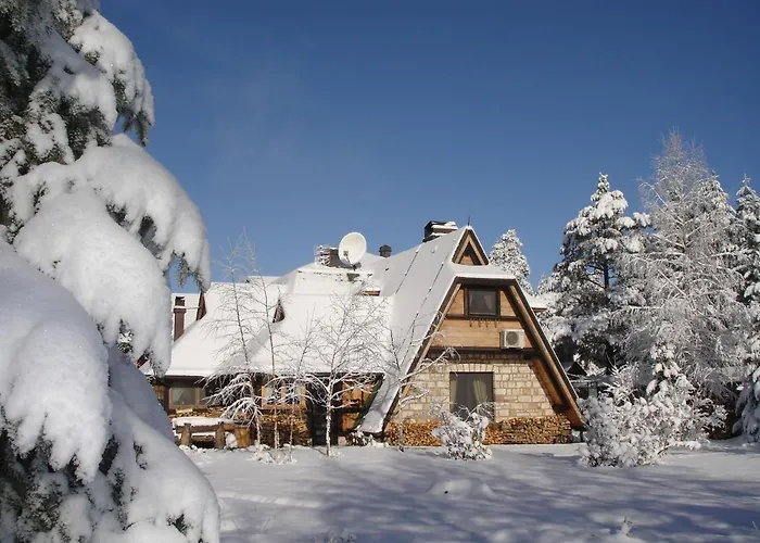 Zeleni Cardaci Etno * Kaludjerske Bare