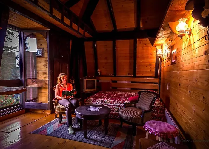 Zeleni Cardaci Etno * Kaludjerske Bare