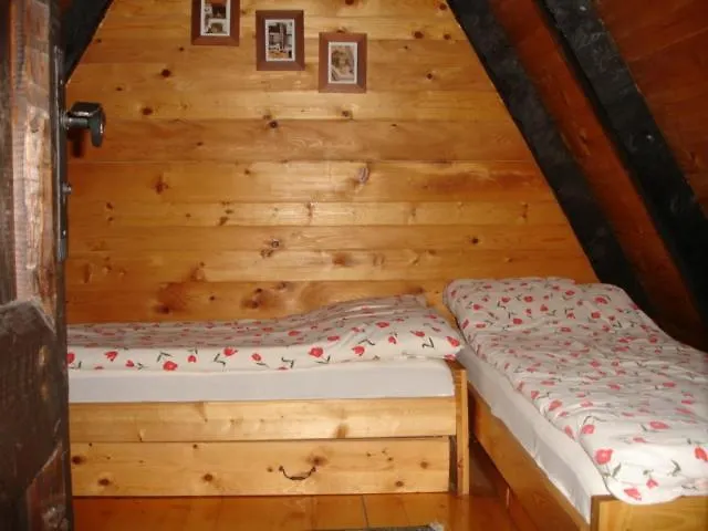 Zeleni Cardaci Etno *