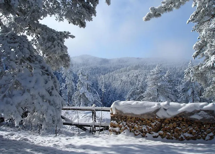 Zeleni Cardaci Etno Apartament